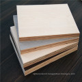 2.5mm-25mm melamine mdf board for chile market